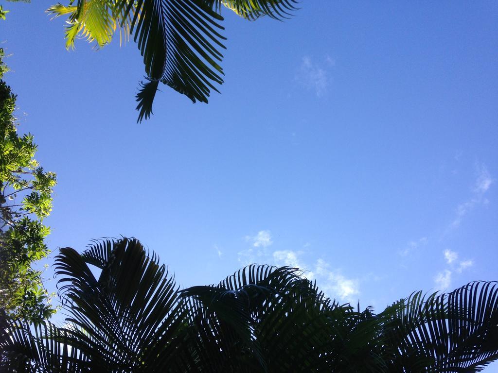 Ryan'S Rest Boutique Accommodation แคนส์ ภายนอก รูปภาพ